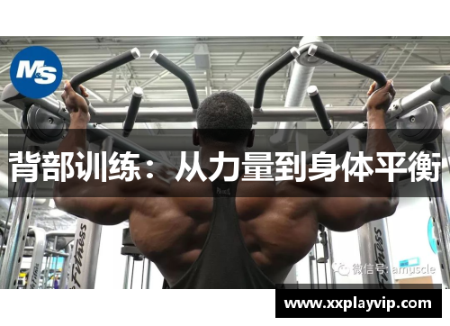 背部训练：从力量到身体平衡